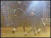 101_0223.JPG