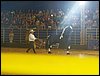 101_0231.JPG