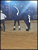 101_0236.JPG