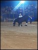 101_0237.JPG