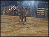 101_0239.JPG