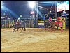 101_0257.JPG
