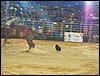 101_0260.JPG