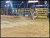101_0275.JPG