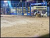 101_0276.JPG