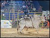 101_0291.JPG