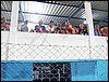 101_0341.JPG