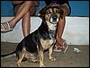 101_0375.JPG