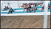 17286-IMG.jpg