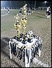 20240927_201104.jpg