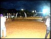 101_0970.JPG