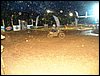 101_0973.JPG