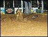 101_0979.JPG