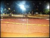 101_0987.JPG