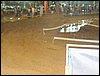 101_1043.JPG
