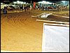 101_1057.JPG