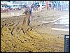 101_1062.JPG