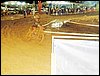 101_1070.JPG