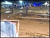 101_1081.JPG