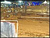 101_1086.JPG