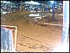 101_1111.JPG