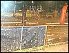101_1112.JPG