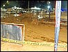 101_1138.JPG