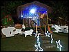 100_2362.JPG