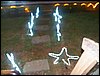 100_2369.JPG