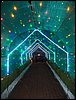 100_2373.JPG