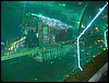 100_2374.JPG