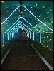 100_2394.JPG