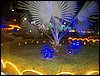 100_2406.JPG