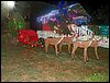 100_2414.JPG