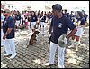 100_1699.JPG
