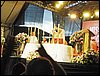PC120029.JPG