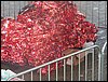 100_2441.JPG