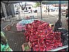 100_2453.JPG