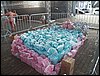 100_2454.JPG