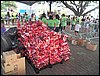 100_2455.JPG