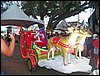 100_2460.JPG