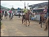 101_0173.JPG
