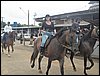 101_0178.JPG