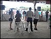 101_0227.JPG