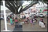 IMG_3869.JPG