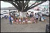 IMG_3874.JPG
