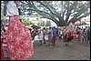 IMG_4009.JPG