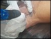 100_0858.JPG
