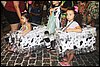 IMG_4651.JPG