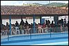 IMG_4097.JPG